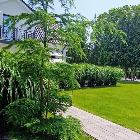 Lumobile * 그리피체