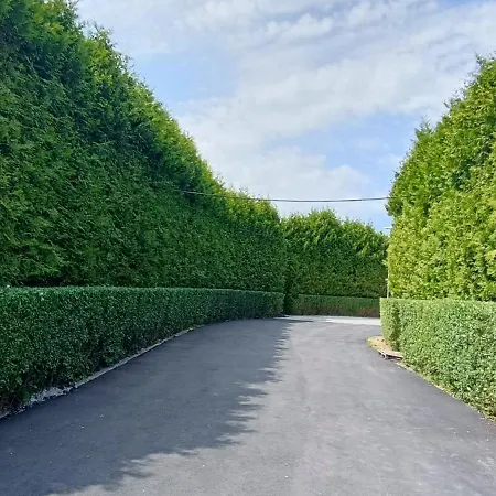 Lumobile 캠프장 그리피체