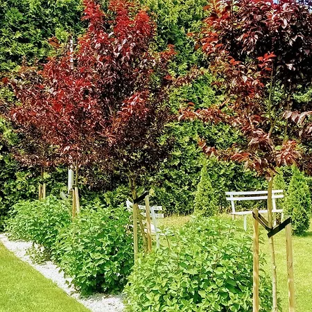 캠프장 Lumobile *